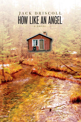 front cover of How Like an Angel