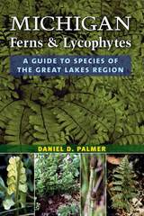 Michigan Ferns and Lycophytes