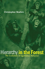 front cover of Hierarchy in the Forest