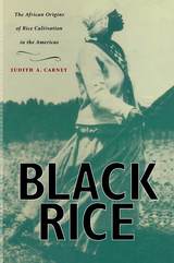 front cover of Black Rice