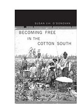 front cover of Becoming Free in the Cotton South