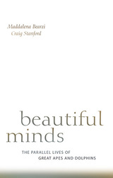 front cover of Beautiful Minds