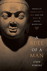 front cover of A Bull of a Man