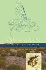 front cover of The Sand Wasps