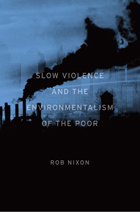 front cover of Slow Violence and the Environmentalism of the Poor