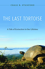 front cover of The Last Tortoise