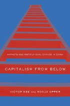 front cover of Capitalism from Below
