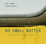front cover of No Small Matter