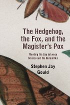 front cover of The Hedgehog, the Fox, and the Magister's Pox