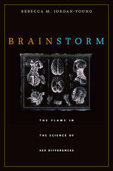 front cover of Brain Storm