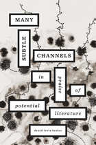 front cover of Many Subtle Channels