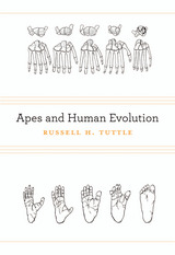 front cover of Apes and Human Evolution