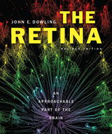 front cover of The Retina