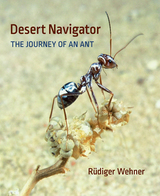 front cover of Desert Navigator