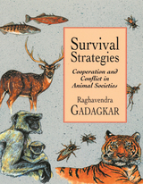 front cover of Survival Strategies