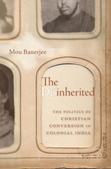 front cover of The Disinherited