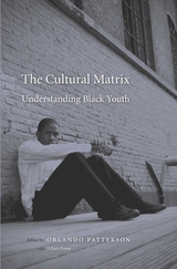 front cover of The Cultural Matrix