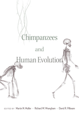 front cover of Chimpanzees and Human Evolution