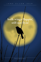 front cover of Both Wings Flappin', Still Not Flyin'