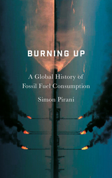 front cover of Burning Up