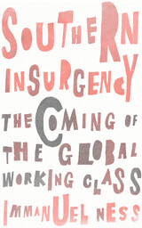 front cover of Southern Insurgency