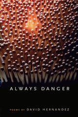 front cover of Always Danger