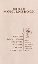 front cover of Filicineae, Gymnospermae and Other Monocots Excluding Cyperaceae