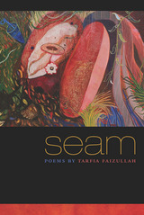 front cover of Seam