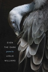 front cover of Even the Dark