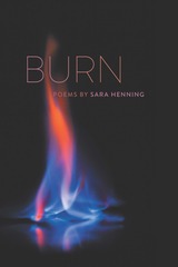 front cover of Burn