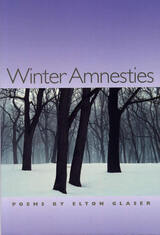 front cover of Winter Amnesties