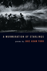 front cover of A Murmuration of Starlings