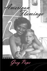 front cover of American Flamingo