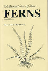 front cover of Ferns