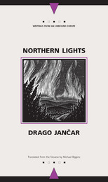 front cover of Northern Lights