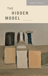 front cover of The Hidden Model