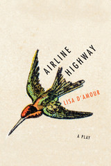 front cover of Airline Highway