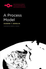 front cover of A Process Model