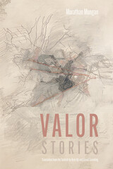 front cover of Valor