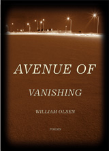 front cover of Avenue of Vanishing