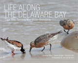 front cover of Life Along the Delaware Bay