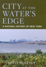 front cover of City at the Water's Edge