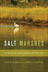 front cover of Salt Marshes