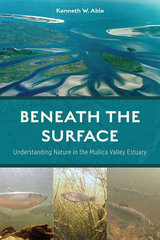 front cover of Beneath the Surface