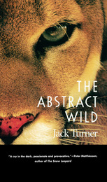 front cover of The Abstract Wild