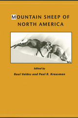 front cover of Mountain Sheep of North America