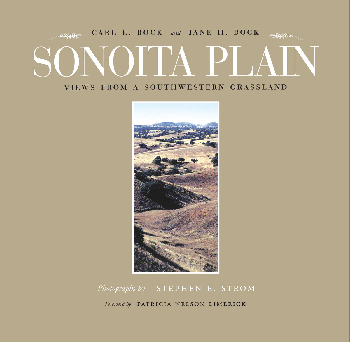 Sonoita Plain