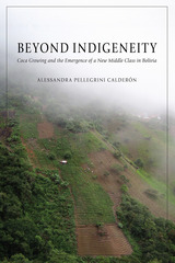 front cover of Beyond Indigeneity