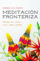 front cover of Meditación Fronteriza