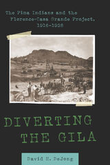 front cover of Diverting the Gila